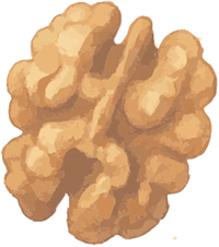 Walnuts